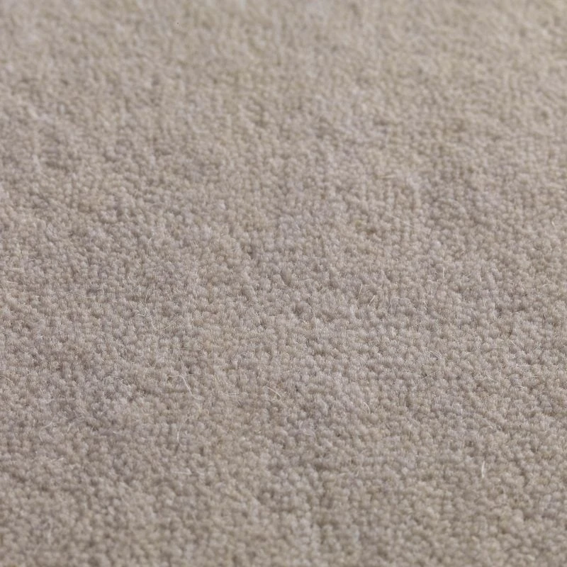 Jaspur pp 400 500: Cockle