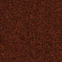 SY91 Oxid Red