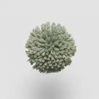 W581 Mineral Green