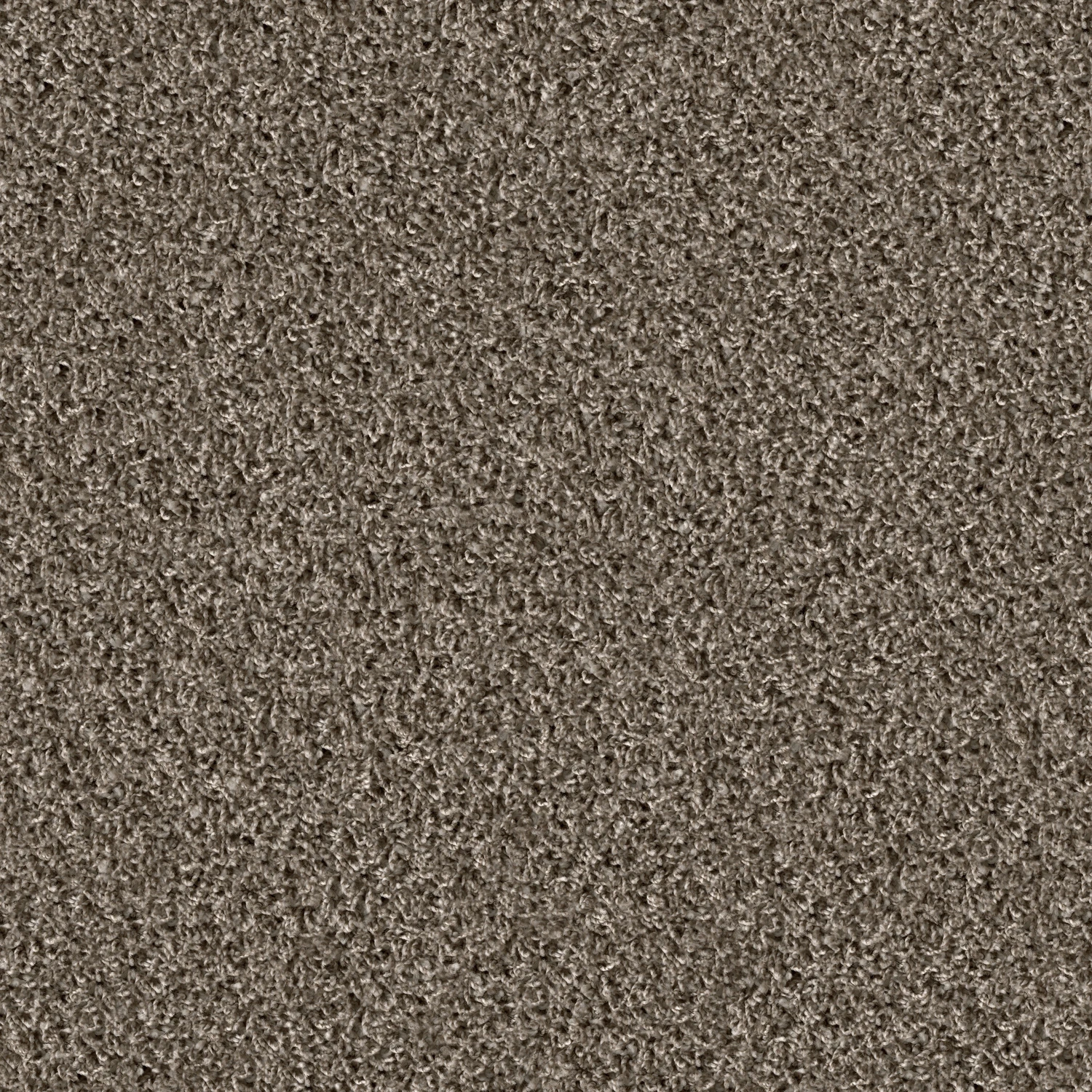 Poodle 1400 Acoustic 50x50 cm: 1477 Greige