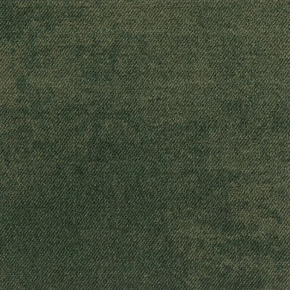 Haze lp b2b 50x50 cm: LP 604