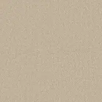 260 Camel