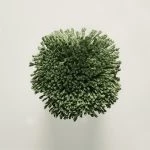 FdS Band 0 Botanical Silk (T): T46 Forest Green