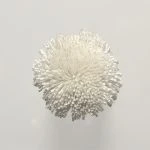 FdS Band 0 Botanical Silk (T): T25 Ice