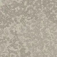 35501 Soft Neutral