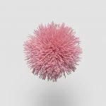 FdS Band 0 Mohair (TW): TW757 Rose