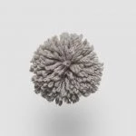 FdS Band 0 New Zealand Wool (W): W205 Ash