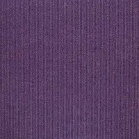 11874 Lilac Iris