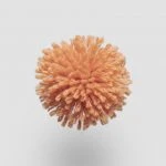 FdS Band 0 New Zealand Wool (W): W687 Tangerine