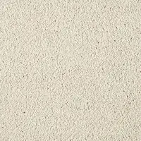 ZEO.0251 Magnolia 1