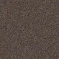 1233 Taupe