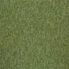 21101 Guyana Moss