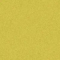 1119 Citrus