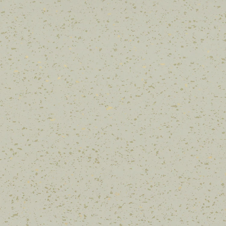Dharma pro 2 mm 190: D10 Moon