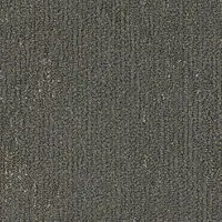 000010-800