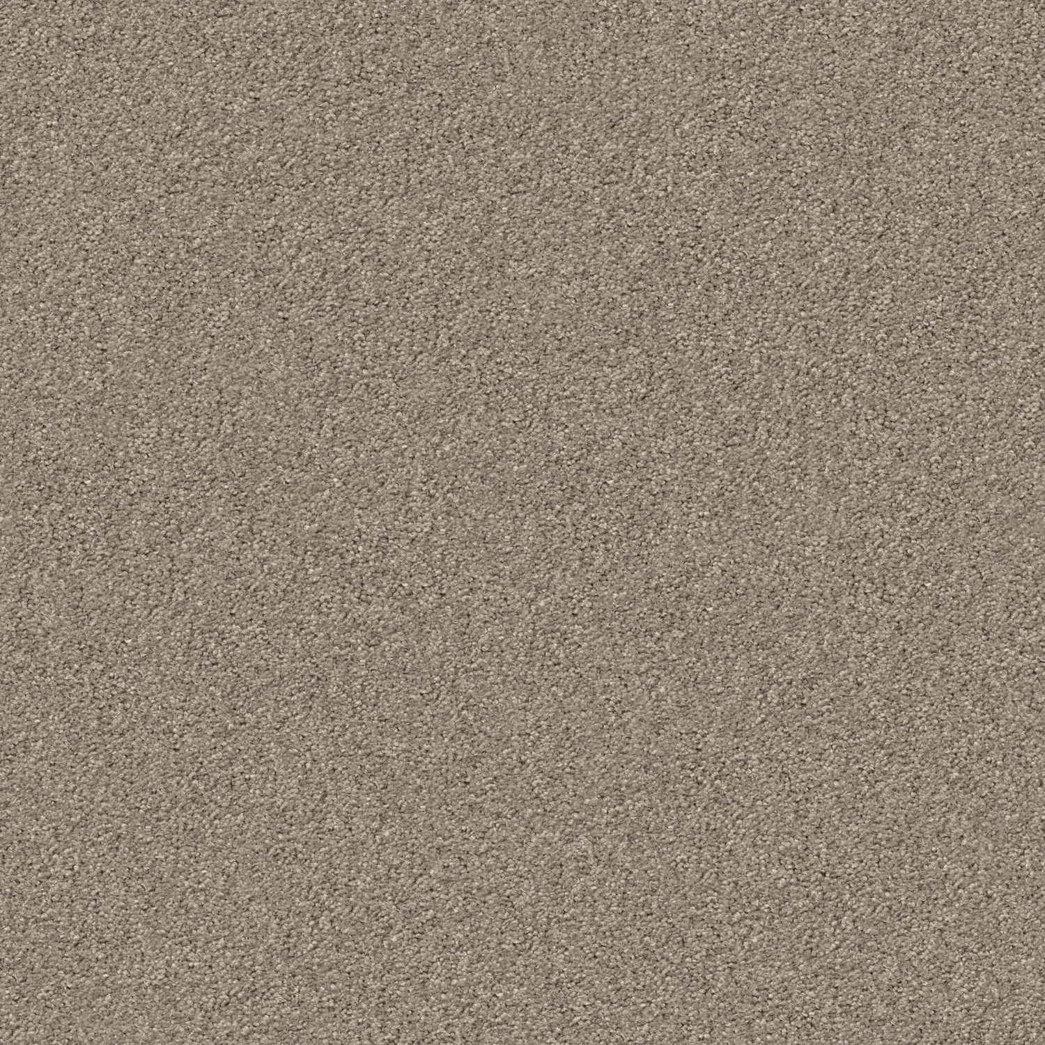 Silky Seal 1200 Acoustic Plus 400: 1229 Dust