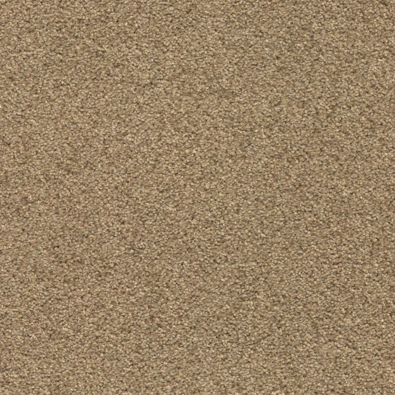 Zenith TEXtiles 50x50 cm: T371210 Champagne