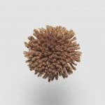 FdS Band 0 New Zealand Wool (W): W521 Cinnamon