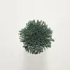 TT168 Cactus Green