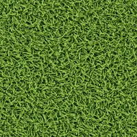 6559 Muguet