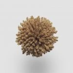 FdS Band 0 New Zealand Wool (W): W541 Light Brown