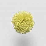 FdS Band 0 New Zealand Wool (W): W746 Lime