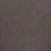20213 Seranilla Stone
