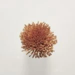 FdS Band 0 Botanical Silk Contract (TT): TT156 Royal Amber
