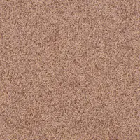 T371210 Champagne