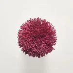 FdS Band 0 Botanical Silk (T): T11 Fuchsia