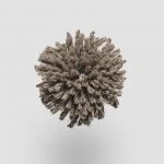 FdS Band 0 New Zealand Wool (W): NW109 Medium Brown
