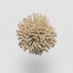 FdS Band 0 New Zealand Wool (W): NW103 Beige