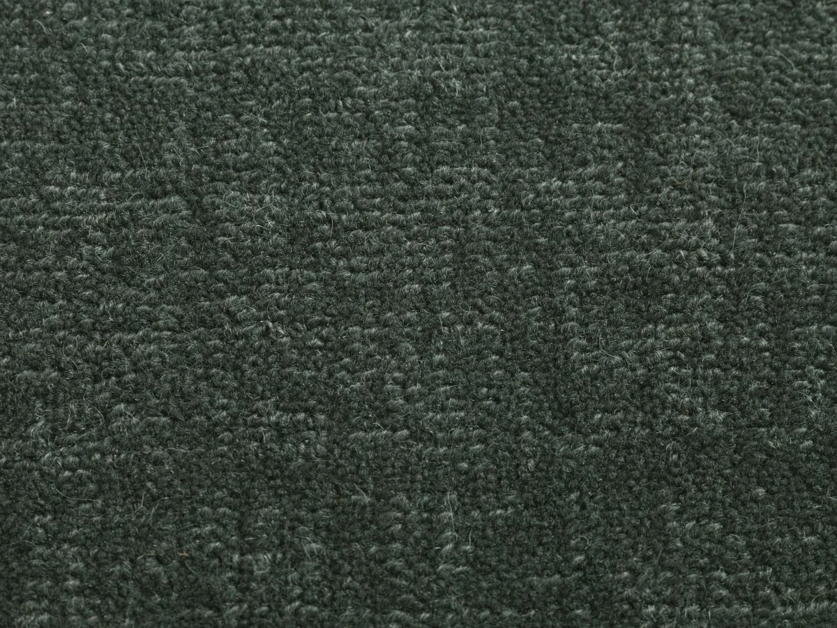 Willingdon ct 400 500: Olea