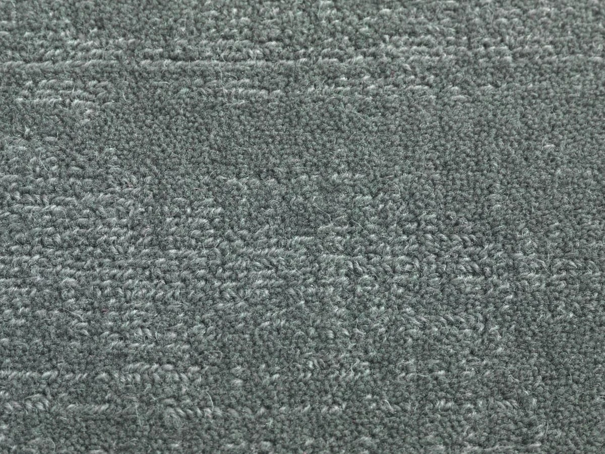 Willingdon ct 400 500: Beluga