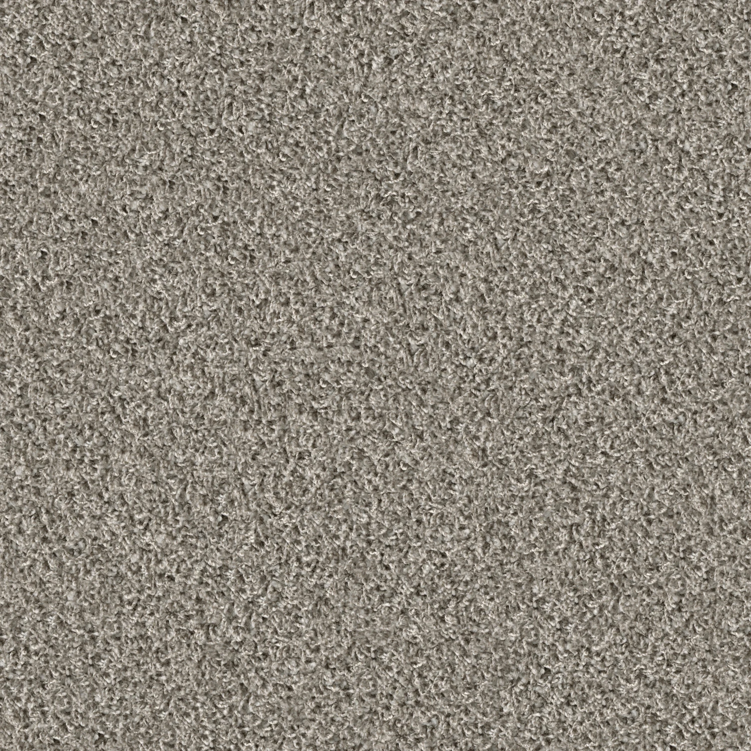 Poodle 1400 Acoustic 50x50 cm: 1420 Shell