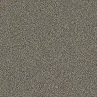 0557 Ashes