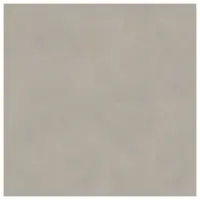 2490 Light Cement