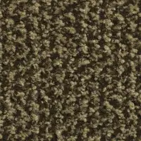 60 Brown