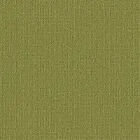 0920 Limone