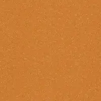 9848 Burnt Orange