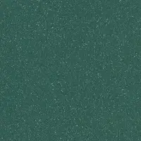 9851 Teal