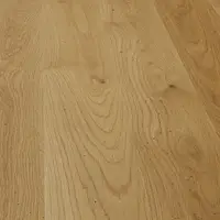 Oak Olmo Historico