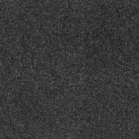 33205 Mussel