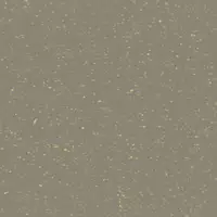 D15 Almond