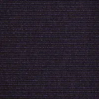 358680 Purple Velvet