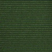 358750 Winter Green