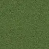 371740 Cactus