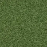 371740 Cactus
