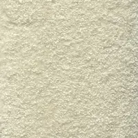 325050