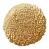 Cornsilk